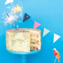 En festlig funfetti tårta med stjärnljus och färgglada girlanger. En liten fågeldekoration sitter bredvid.