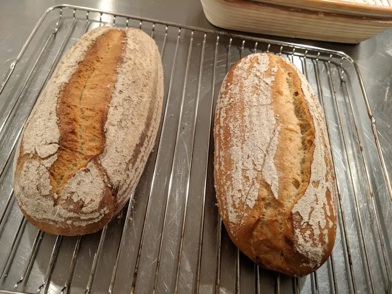 Tv&aring; nybakade, gyllene br&ouml;d med mj&ouml;lad skorpa vilar p&aring; ett galler. Perfekt f&ouml;r att gr&auml;dda om degigt br&ouml;d till en krispig yta.